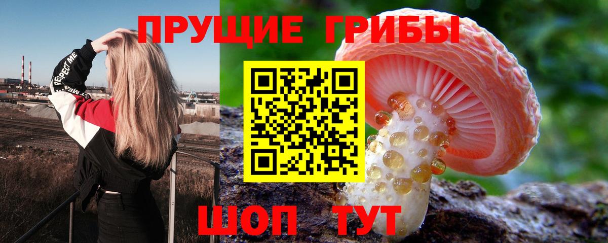 Галлюциногенные грибы прущие грибы  купить   Каменка  Вход с VPN  Псилоцибиновые грибы MAGIC MUSHROOMS 